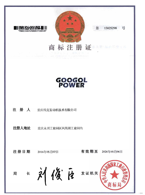 GOOGOL POWER-第6類-1585298-1