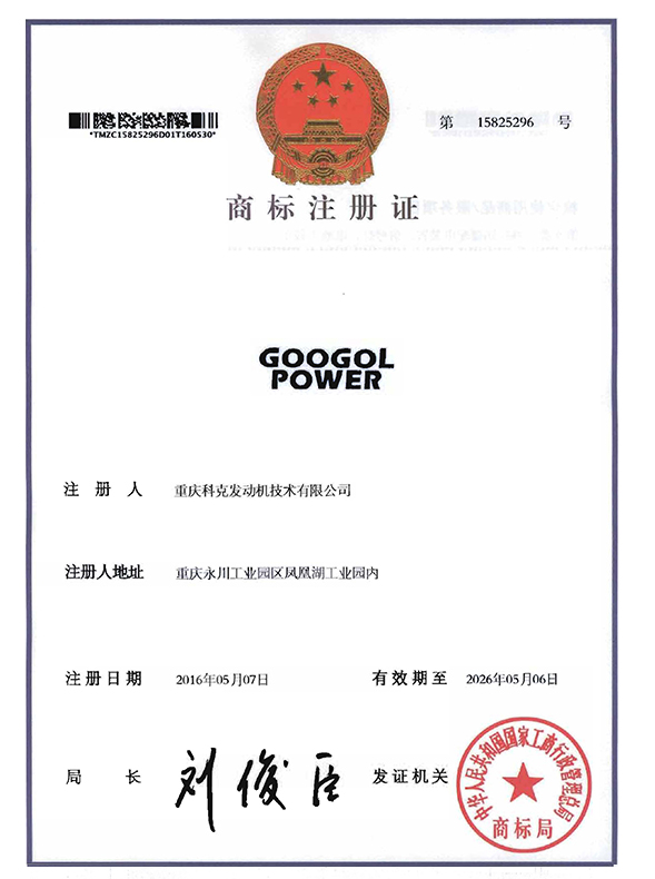 GOOGOL POWER-第9類-1585296-1