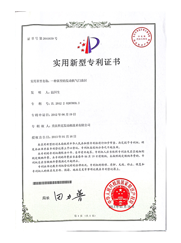 CN201220287809.3一種新型的發(fā)動機氣門油封 