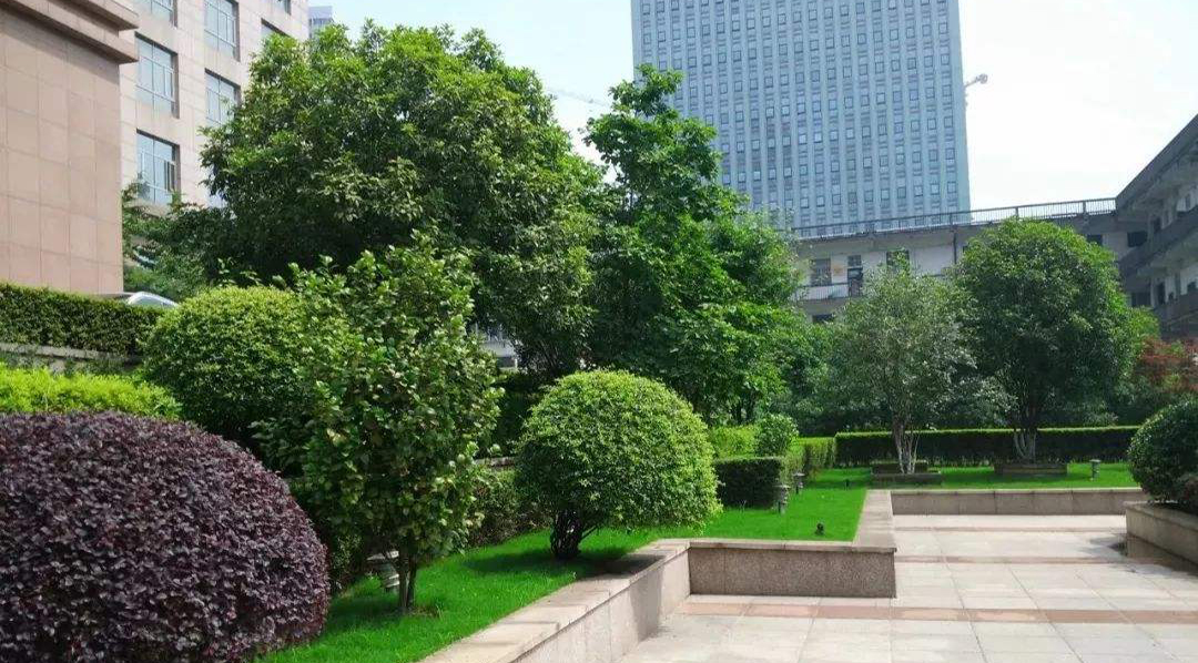 柴油發(fā)動(dòng)機(jī)